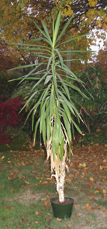 oct22_09